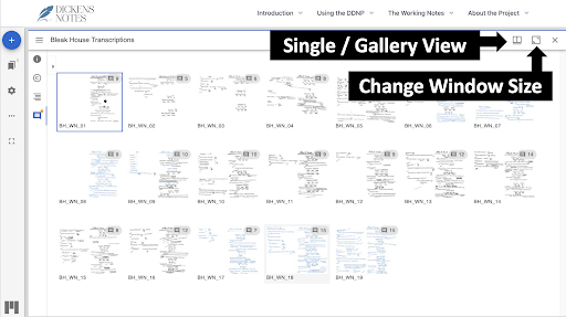 Mirador provides options for seeing images in Single or Gallery View